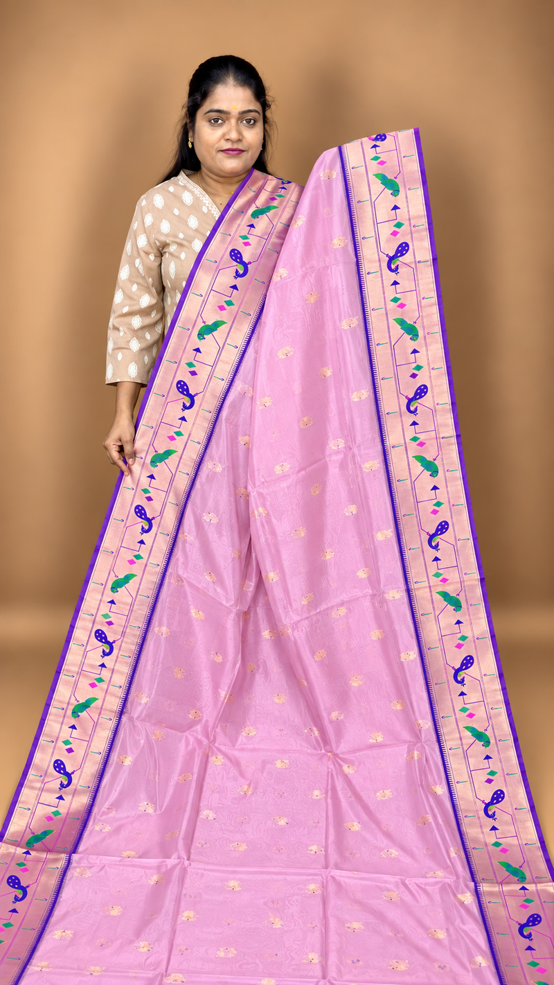 ✨ ORGANZA SILK SAREE ✨ (2)