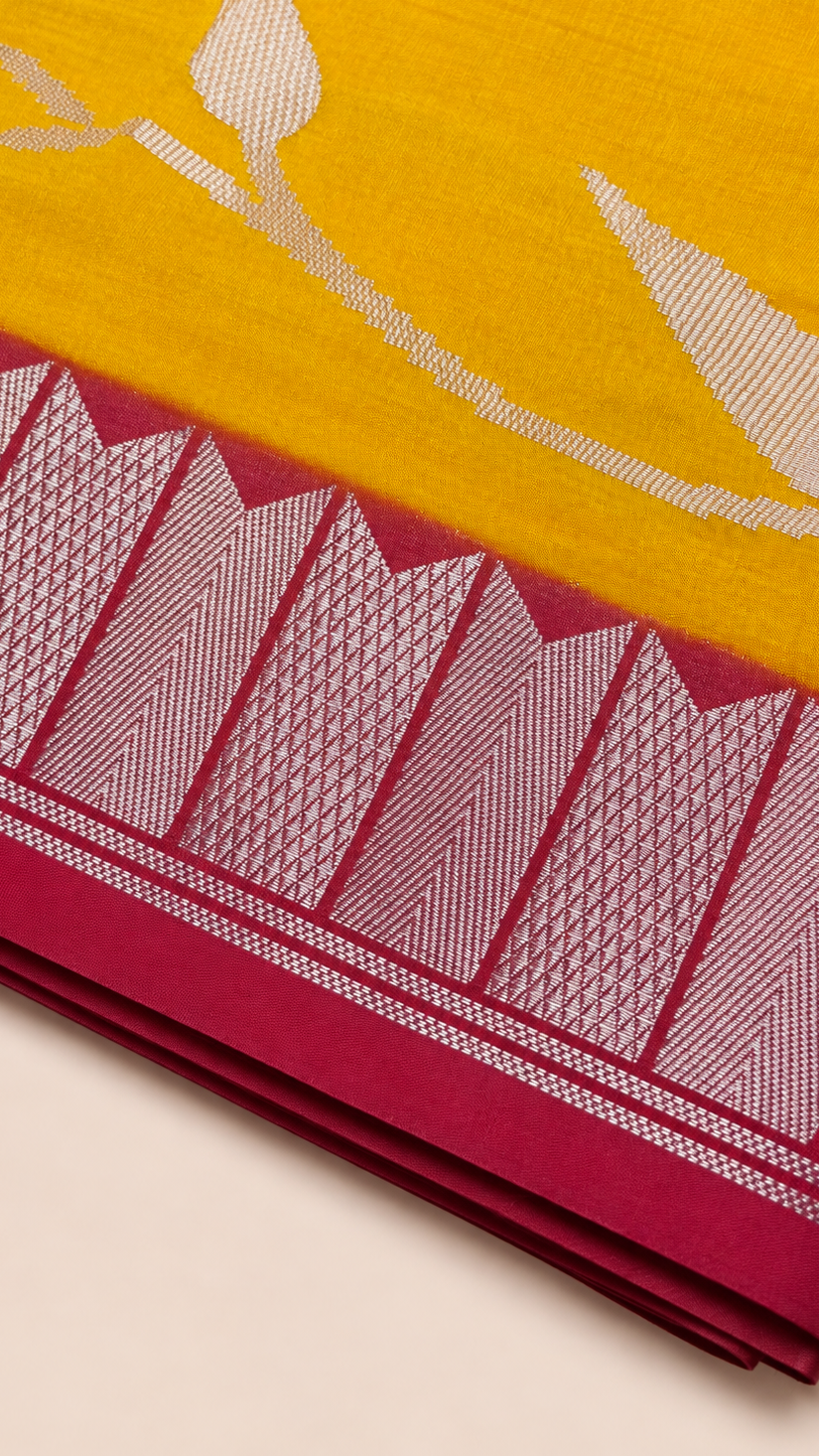 WARM SILK SAREE (Y)