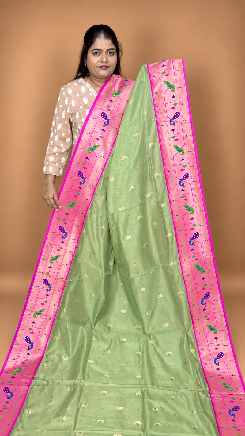 ✨ ORGANZA SILK SAREE ✨ (3)