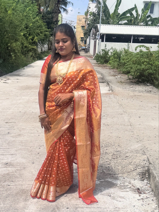 Banarasi Tissue Saree