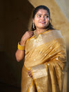 BANARASI TISSUE (oran)/ PRE BOOKING 15 days dispatch