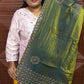 DESIGNER SAREE (MEH green)