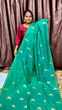 KANCHI SILK SAREE ( sea green )