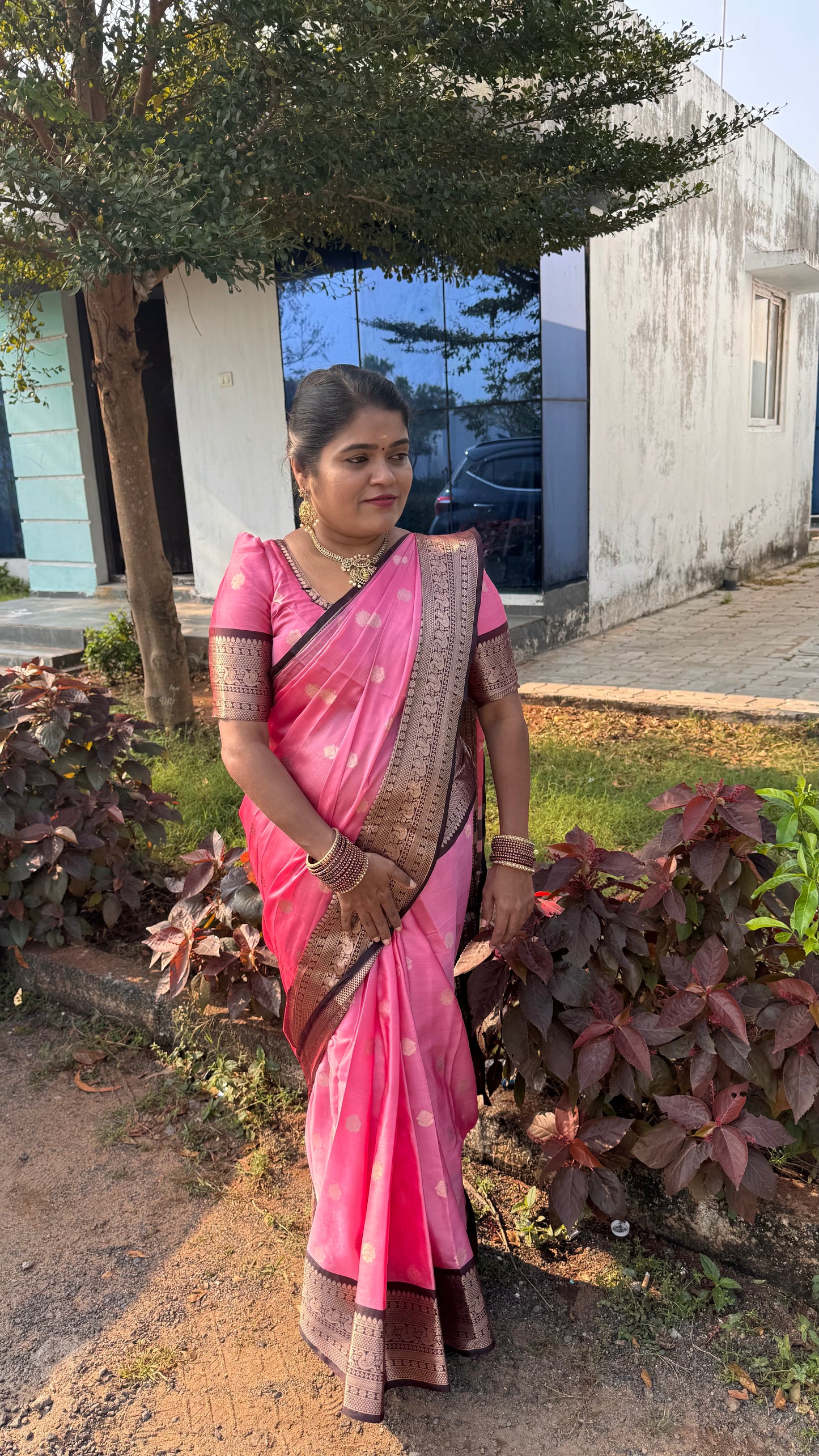 Banarasi Soft SILK SAREE