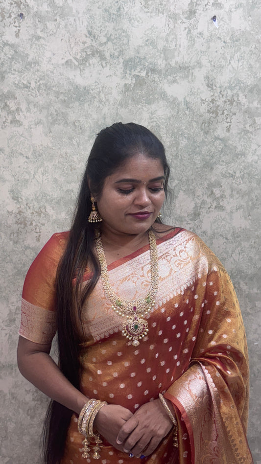 Banarasi Tissue Saree