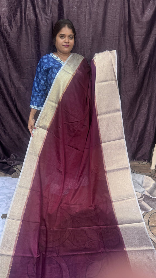 Warm Silk Saree (BIG BORDER)
