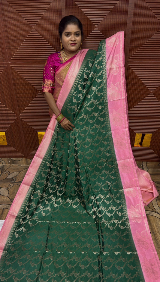 Warm silk saree (gen)
