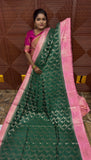 Warm silk saree (gen)