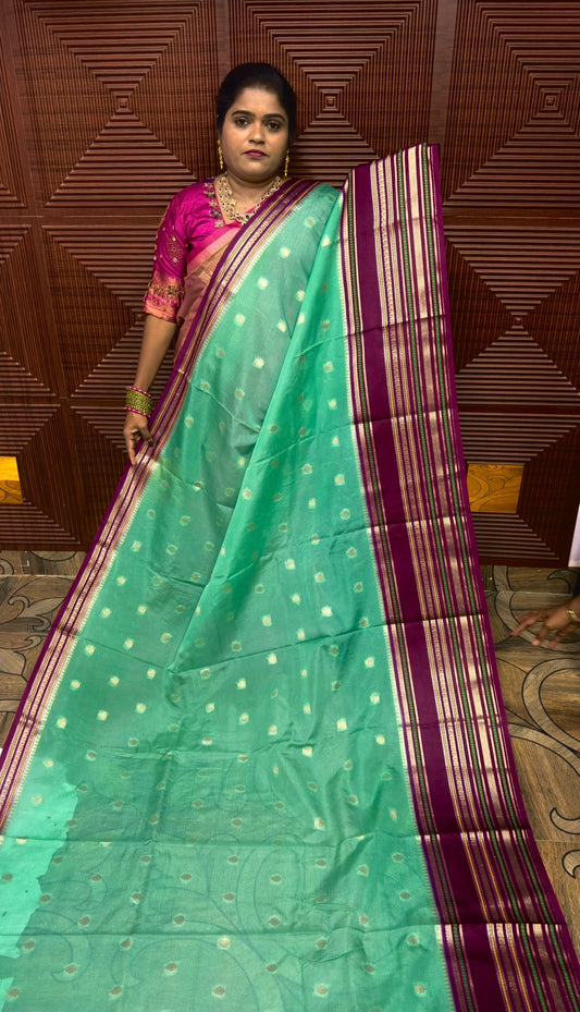 Warm silk saree