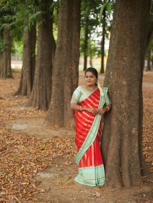 WARM SILK SAREE ( RWR )