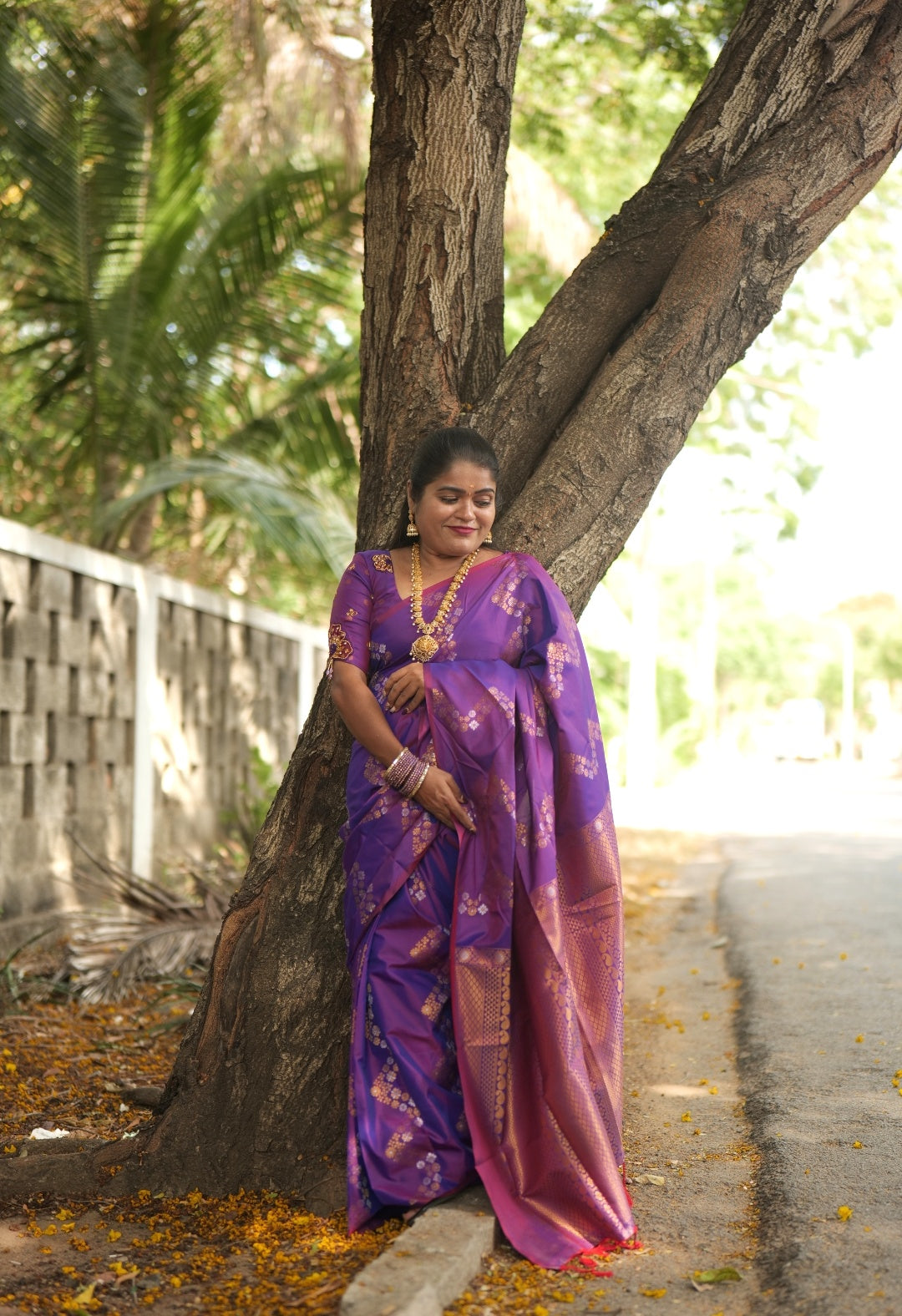 KANCHI SOFT SILK SAREE ( dark ) vo