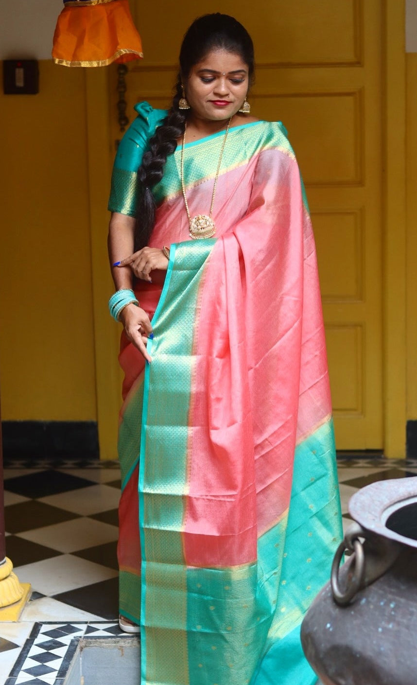 Warm silk saree